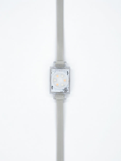 bluEmber 48V Light (Semi-frosted Bulb)